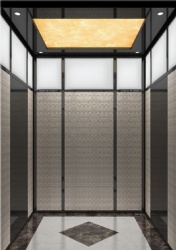 DB-ART907 Home Elevator