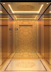 DB-ART906 Home Elevator